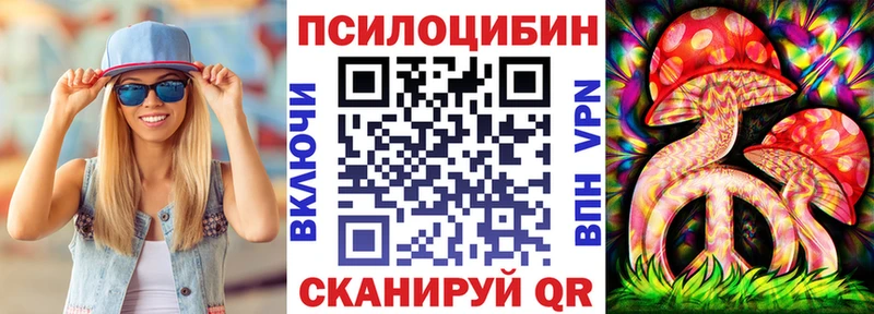 Псилоцибиновые грибы прущие грибы  наркошоп  Катайск 
